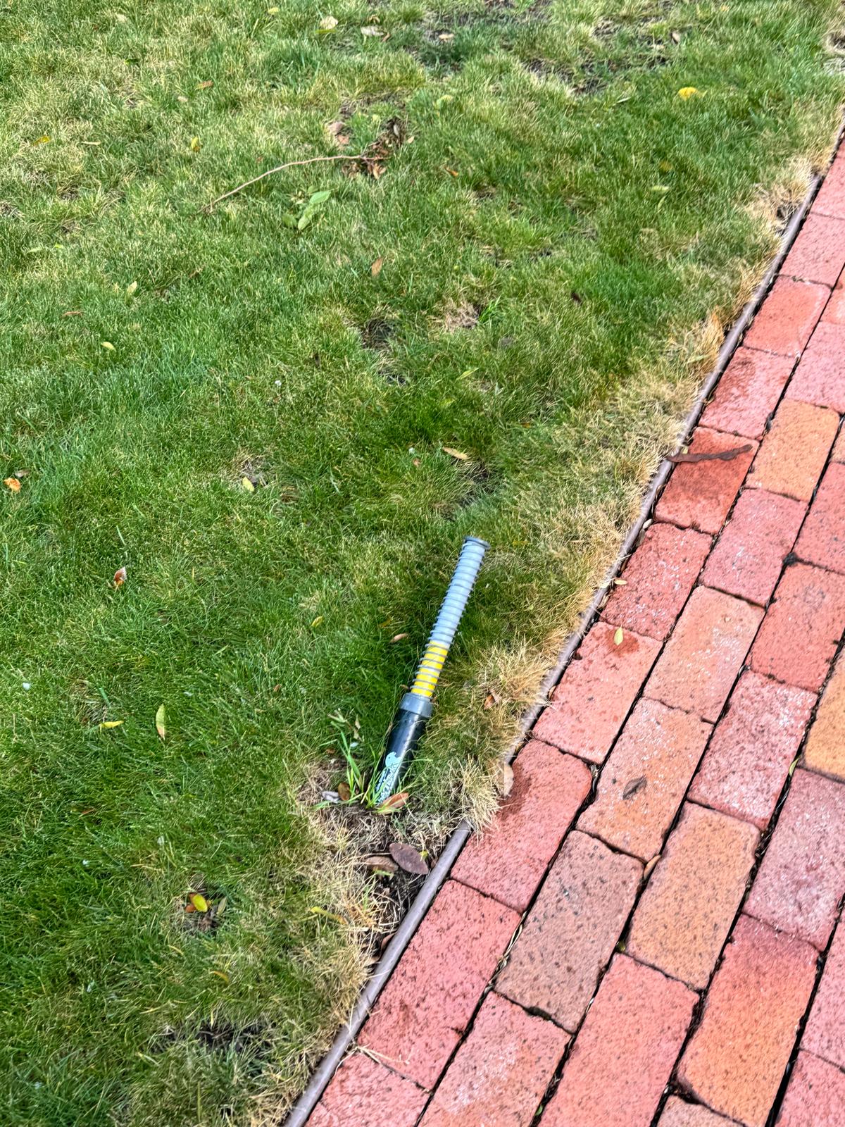 Professional probe inserted into a burrowing rodent tunnel in a lawn