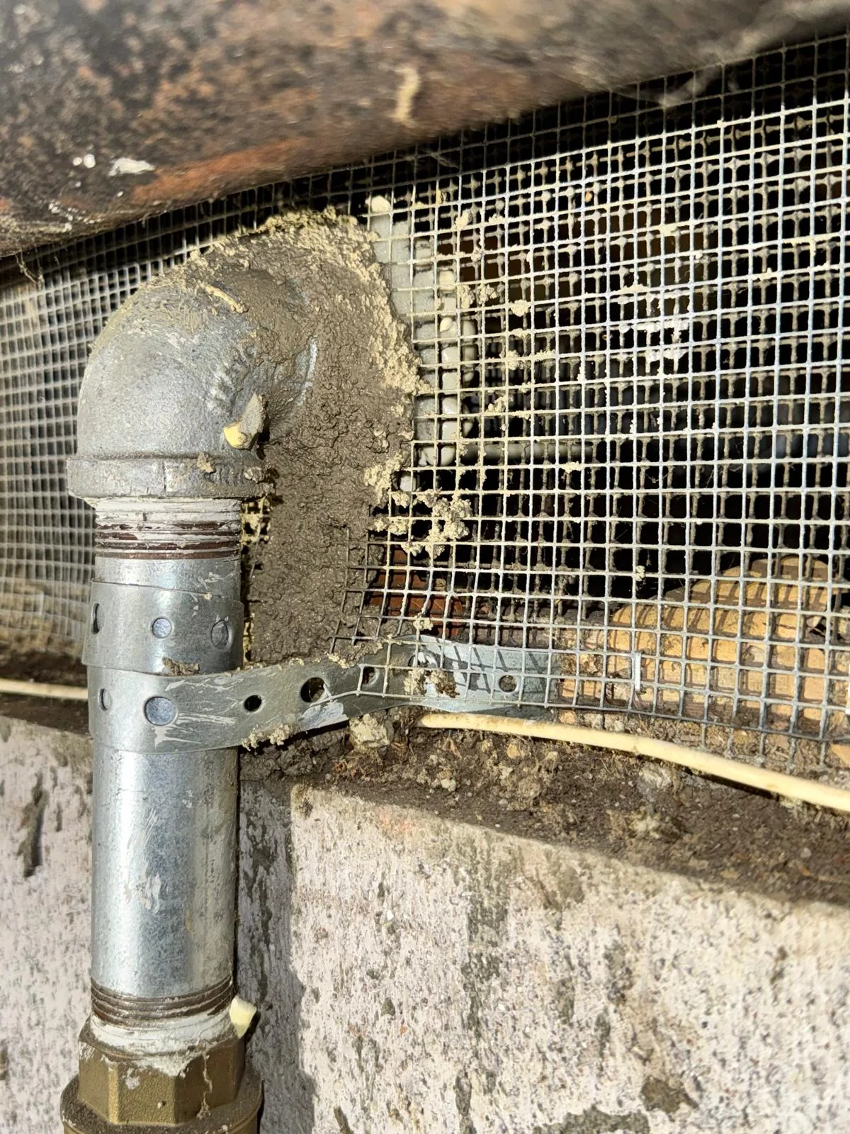 Utility pipe penetration sealed to prevent rodent entry